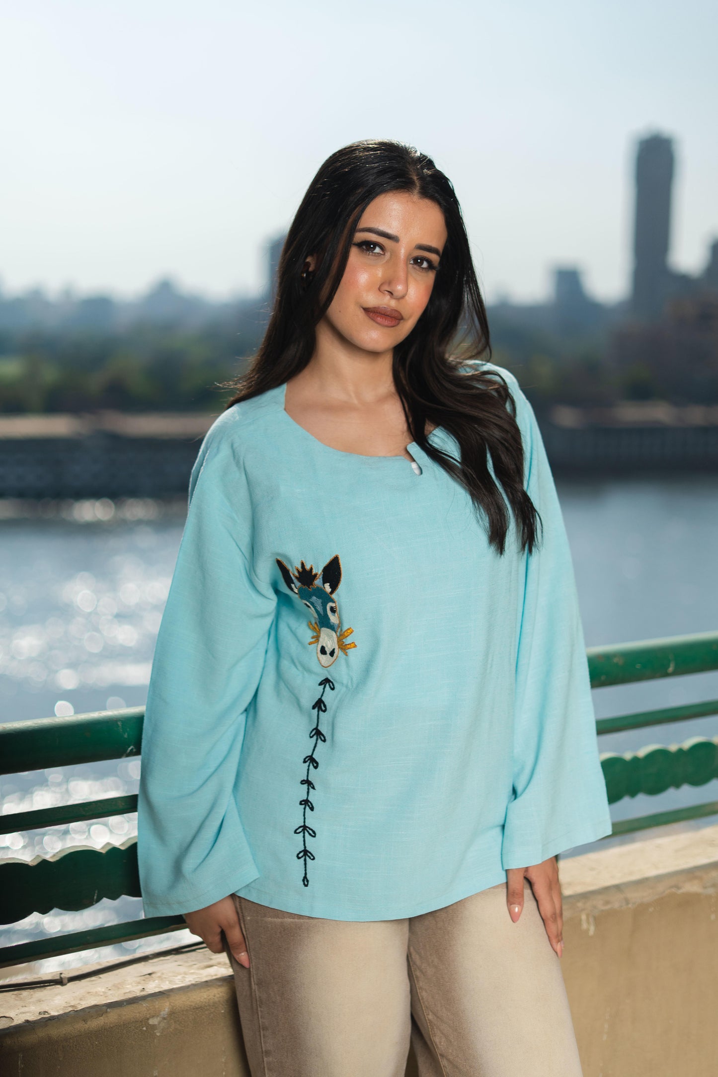 Linen Blouse- Embroidered Donkey
