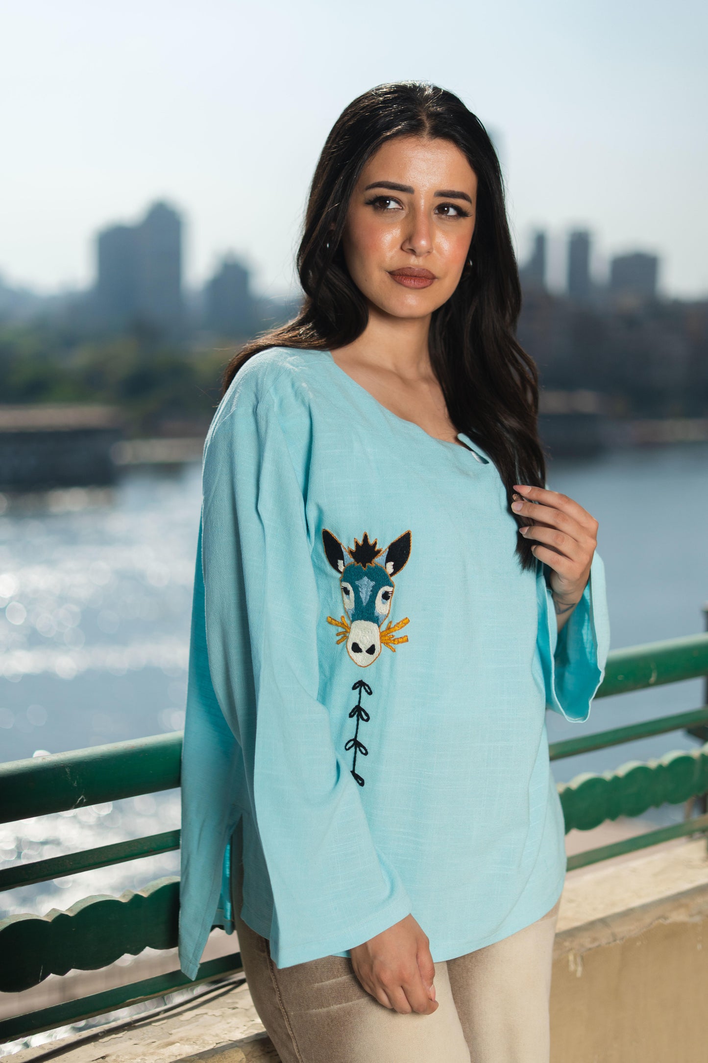 Linen Blouse- Embroidered Donkey