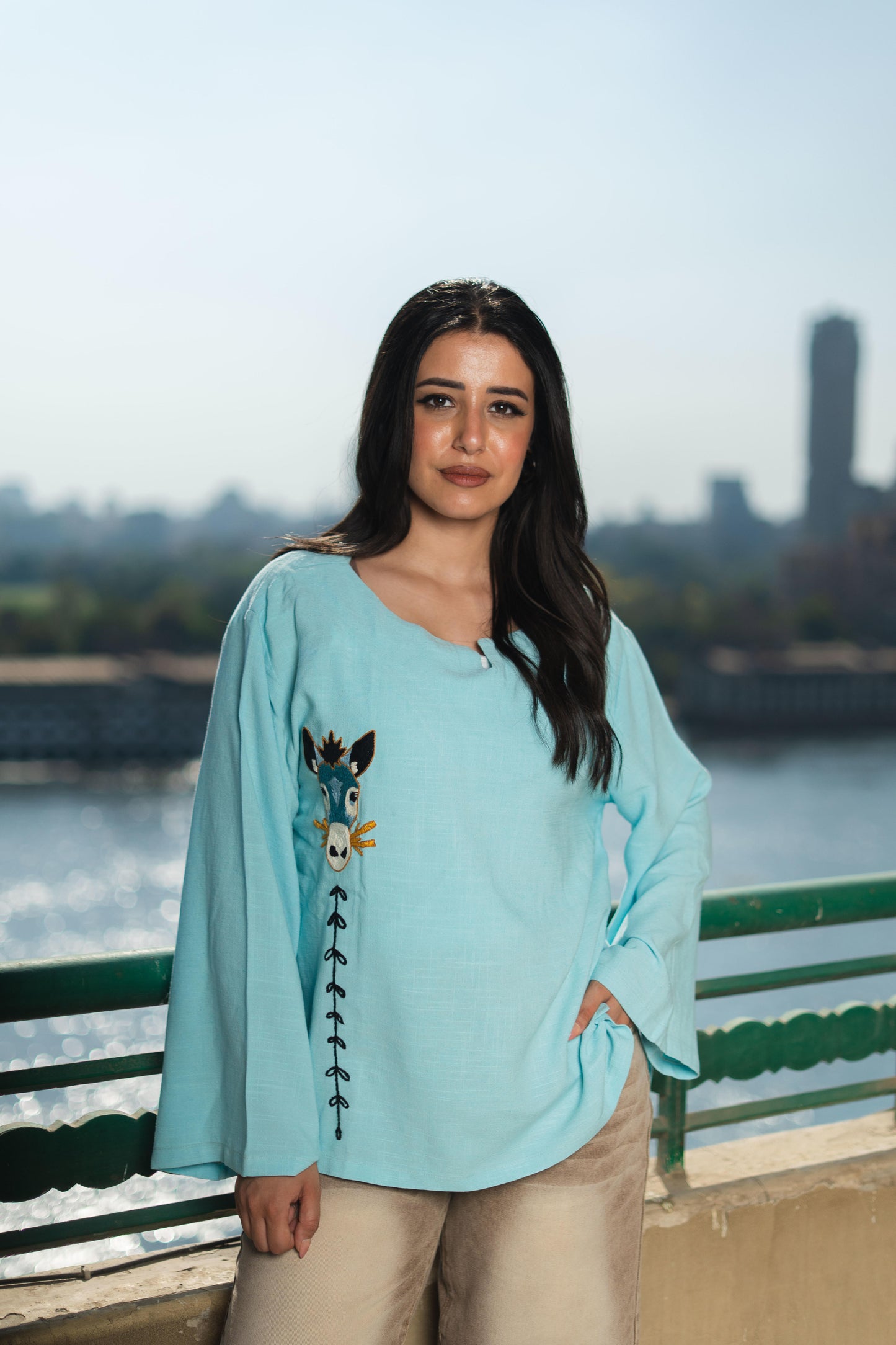 Linen Blouse- Embroidered Donkey